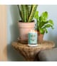 Image du produit 2 sur 3, Yankee Candle Aloe & Agave Bougie parfumée