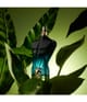 Image du produit 6 sur 6, Jean Paul Gaultier Le Beau Eau de parfum