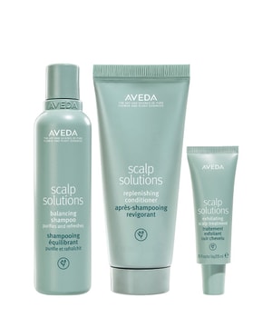 Aveda Scalp Solutions Coffret soin cheveux 1 art. 018084070215 base-shot_fr