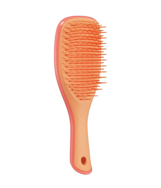 Tangle Teezer Mini Ultimate Detangler Brosse Tangle 1 art. 5060926684536 pack-shot_fr
