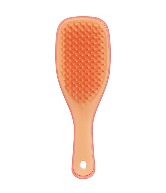 Tangle Teezer Mini Ultimate Detangler Brosse Tangle 1 art. 5060926684536 base-shot_fr