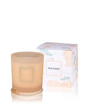 AVA & MAY Aruba Bougie parfumée 500 g 4251642602657 pack-shot_fr
