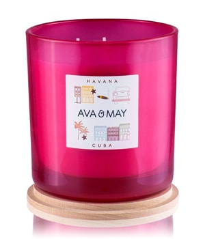 AVA & MAY Havanna Bougie parfumée 500 g 4251642601193 base-shot_fr