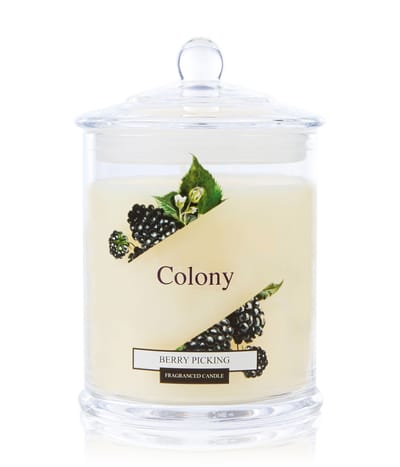 Wax Lyrical Colony Bougie parfumée 0.12 kg 5015802229219 base-shot_fr