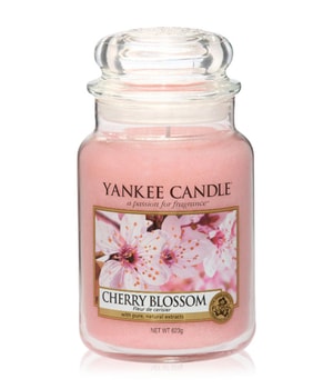 Yankee Candle Cherry Blossom Bougie parfumée 0.623 kg 5038581009155 base-shot_fr