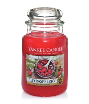 Yankee Candle Red Raspberry Bougie parfumée 0.623 kg 5038580061871 base-shot_fr