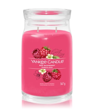 Yankee Candle Red Raspberry Bougie parfumée 567 g Unisexe