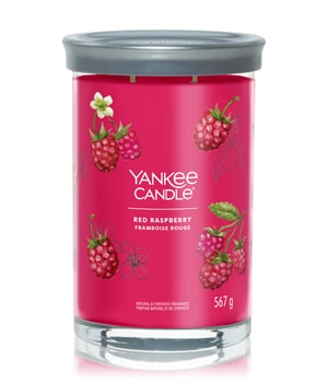 Yankee Candle Red Raspberry Bougie parfumée 567 g 5038581142937 base-shot_fr