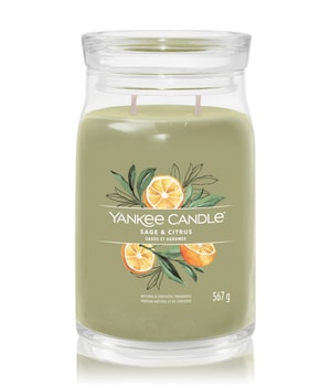 Yankee Candle Sage & Citrus Bougie parfumée 567 g 5038581129365 base-shot_fr